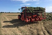 Azienda Agricola Fabietto