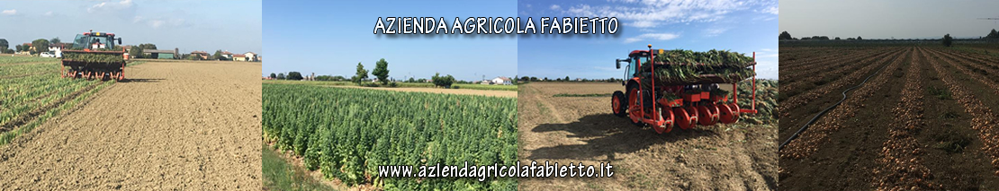 Azienda Agricola Fabietto